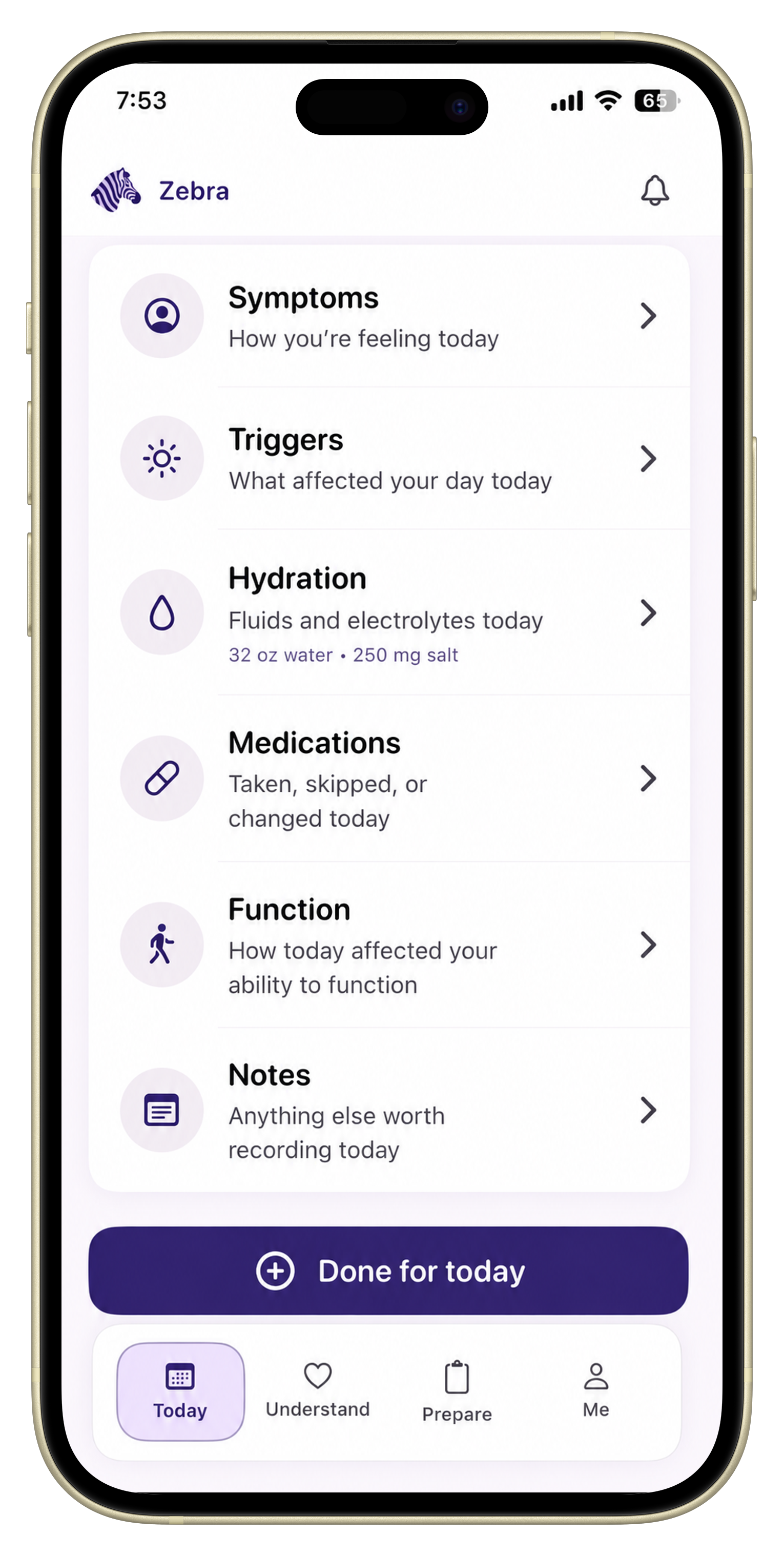 Four-part symptom journal template for people dealing with brain fog